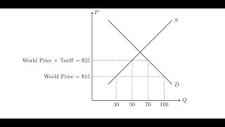 Deadweight Loss from a Tariff [upl. by Eneja]