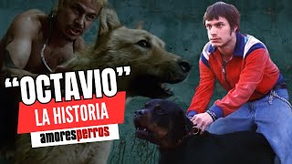 La HISTORIA de quotOCTAVIOquot  AMORES PERROS [upl. by Nuawd]