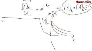 animus Tutorials Reaktion 1 Ordnung [upl. by Spector]