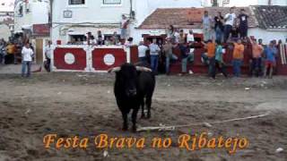 Azambuja  Feira de Maio 2009 Largada de Toiros  Dia 1 Junho [upl. by Arhsub942]