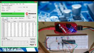 Uso del PICkit 3 para programar el PIC16F887 [upl. by Lerrud400]