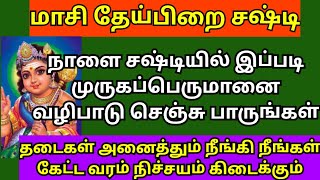 நாளை மாசி தேய்பிறை சஷ்டியில் முருகப்பெருமானை இப்படி வழிபாடு செஞ்சு பாருங்க  Sashti viratham tamil [upl. by Sonaj886]