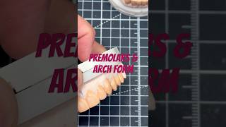 Building out premolars ‼️ smiledesign cosmeticdentistry smilemakeover [upl. by Mirth]