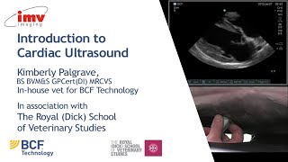 IMV imaging cardiac ultrasound video 1  Introduction to performing an echo [upl. by Tnomad]