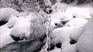 SCHNELL MÜDE WERDEN MIT DEM RAUSCHEN EINES EISBACHES IM VERSCHNEITEN WINTERWALD  4K UHD NATUR SOUND [upl. by Nichol560]