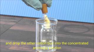 Ammonia amp HCl Diffusion Demonstration [upl. by Latoya849]