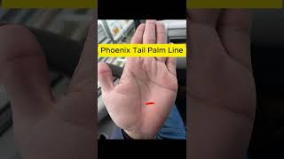 Phoenix Tail Palm Line in Hand Palmistry PalmReading [upl. by Pirozzo]