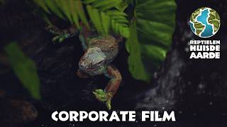 Reptielenhuis de Aarde Breda  Corporate Film [upl. by Acsot212]