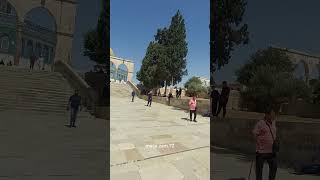 جمعة مباركة من المسجد الاقصى alaqsamosque [upl. by Lorri682]