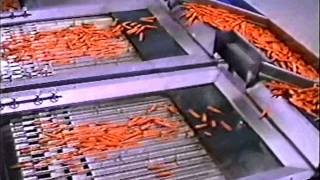 Calibradora diametral para zanahorias Diameter grader for carrots Caldi 15THwmv [upl. by Adnahsed]