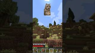 Echolocation at its FINEST 🐋  gaming minecraft twitch twitchstreamer smp [upl. by Airtemak]