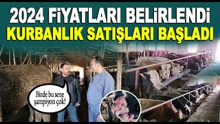 2024 Kurbanlık Fiyatları belirlendi satışlar başladı VERA Büyükbaş Besi Çiftliği  Ankara Altındağ [upl. by Pontias]