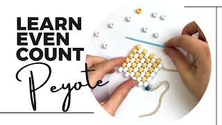 Basic Bead Weaving  Peyote Stitch Tutorial  Even Count  Using BIG BEADS [upl. by Adis]