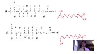 Naming and Drawing Organic Compounds  Chemistry Made Easy [upl. by Sinned4]