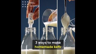 3 ways to make homemade kefir [upl. by Swetiana]