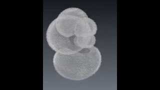 Globigerinella foraminifera [upl. by Irved741]