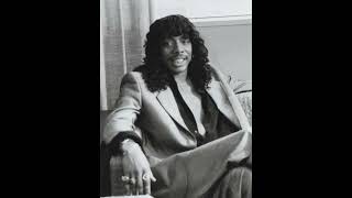 Mary Jane  Rick James FULL INSTRUMENTAL [upl. by Alset130]