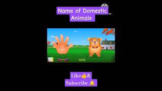 Domestic Animals kids learning kidslearning aniamls fun cartoon [upl. by Didi118]