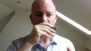 Harmonica Octaves Part 1 Blues Harmonica Lesson [upl. by Courtnay]