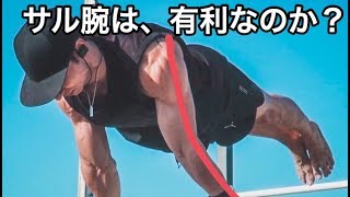 肘の過伸展は、プランシェに有利なのか？ overextended elbow is good for planche [upl. by Dlonra]