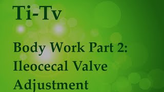 Body Work Part 2 Ileocecal Valve Adjustment [upl. by Nazar]