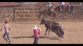 JARIPEO DE TOROS BRAVOS A CAPA LAZO Y JINETE  CHARREADA EN OPONGUIO 2017 [upl. by Meridel]