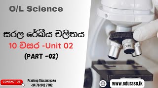 OL Science Understanding Simple Linear Motion Explainedසරල රේඛීය චලිතය10 වසර [upl. by Burch]