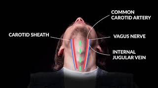 How to Perform An Emergent Cricothyrotomy Emergency Medicine  Your Design Medical [upl. by Harcourt]