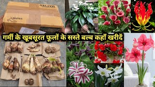 गर्मी के खूबसूरत फूलों के सस्ते बल्ब कहाँ खरीदेंWhere to buy summer flowering bulb best quality [upl. by Kippy]