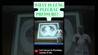 What is Pleural Pressure in lungs 1styearmbbslectures shorts youtubeshorts youtube ytshorts [upl. by Hootman]