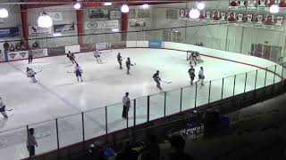 OHA Boys Bantam vs Upper Canada Cyclones 2019 02 15 [upl. by Villiers]