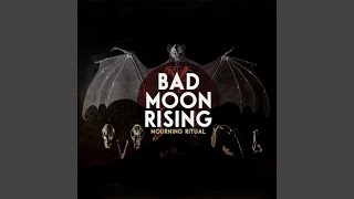 Bad Moon Rising Cover feat Peter Dreimanis [upl. by Ahsimik]