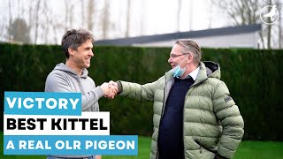 Story of Victory Best Kittel A Real One Loft Race Pigeon [upl. by Enitsirhc314]