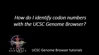 How do I identify codon numbers with the UCSC Genome Browser [upl. by Iona]