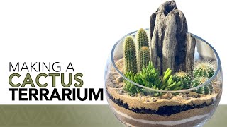 How to make a cactus terrarium [upl. by Anyr]