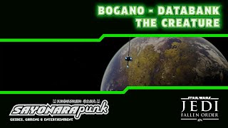 The Creature locations  Bogano  Databank Collectibles  Star Wars Jedi Fallen Order [upl. by Airdnazxela]