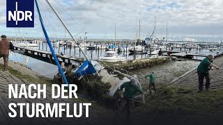 SchleswigHolstein Nach der JahrhundertSturmflut  Die Nordreportage  NDR Doku [upl. by Eleaffar576]