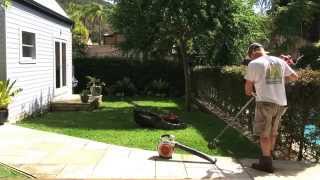 Lawn Mowing Line Trimming Leaf Blowing Pittwater Mowing [upl. by Amery]