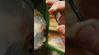 A nail and one big damage in the hoof hoof asmr [upl. by Judus]