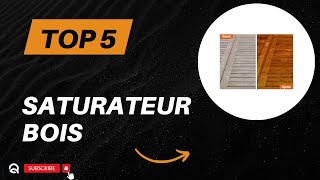 Top 5 Meilleur Saturateur Bois 2024  Les 5 Saturateur Bois Modèles [upl. by Oinotla]