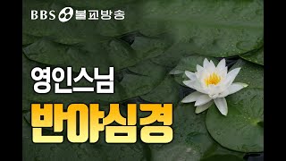 BBS 인기동영상 독경반야심경 영인스님 매일듣는독경 [upl. by Annoyk]