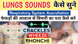 Lungs sound explained in Hindi  Normal amp Abnormal  wheeze Rhonchi Rub crackles use headphones [upl. by Newcomer555]