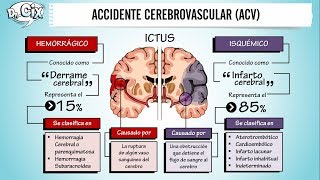 ACCIDENTE CEREBROVASCULAR  Ciencias Básicas [upl. by Gorton]