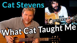 CAT STEVENS  Does Cats music matter today [upl. by Kotto]