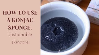 Compostable sponge for your face The Konjac Sponge [upl. by Danyelle]