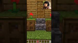 Again an again prank on villager with villager arcde song 😂🤣 minecraft viralvideo shorts [upl. by Neom]