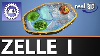 Trailer  Zelle I  Biologie  3D Software [upl. by Tilla741]