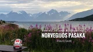 Į ŠIAURĘ Nordkapp 9 dalis Besibeldžiant nuovargiui Norvegijos pasakoje [upl. by Marlon914]