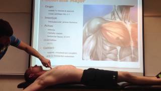 Pectoralis Major Palpation Manual Therapy and Stretch [upl. by Bonny]