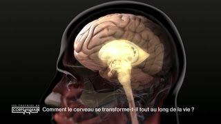 La transformation du cerveau au fil de la vie [upl. by Cheng]